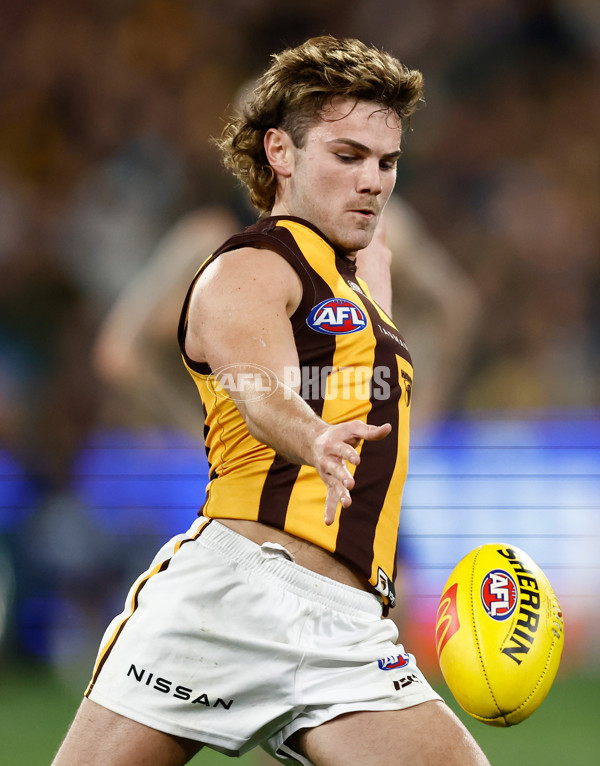 AFL 2024 Round 14 - Richmond v Hawthorn - A-51013588