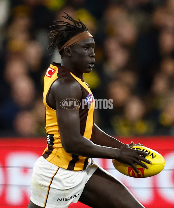 AFL 2024 Round 14 - Richmond v Hawthorn - A-51013589