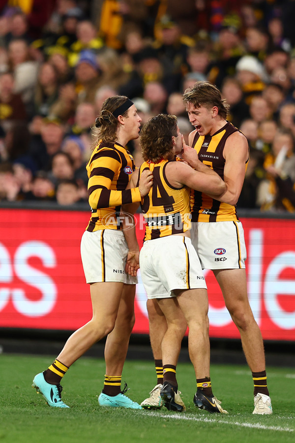 AFL 2024 Round 14 - Richmond v Hawthorn - A-51013628