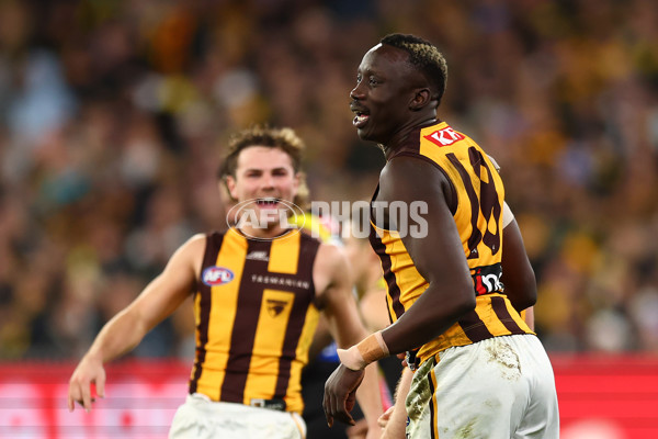 AFL 2024 Round 14 - Richmond v Hawthorn - A-51013650