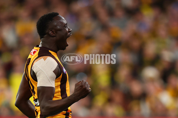 AFL 2024 Round 14 - Richmond v Hawthorn - A-51013652