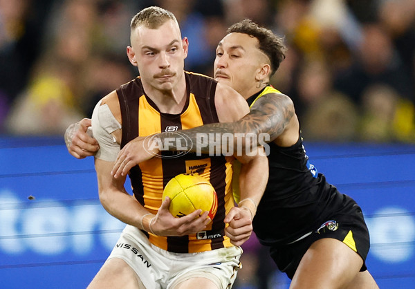 AFL 2024 Round 14 - Richmond v Hawthorn - A-51013655