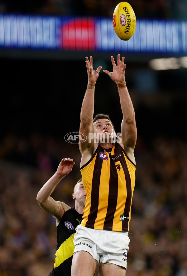 AFL 2024 Round 14 - Richmond v Hawthorn - A-51013656