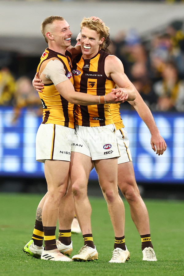 AFL 2024 Round 14 - Richmond v Hawthorn - A-51013668