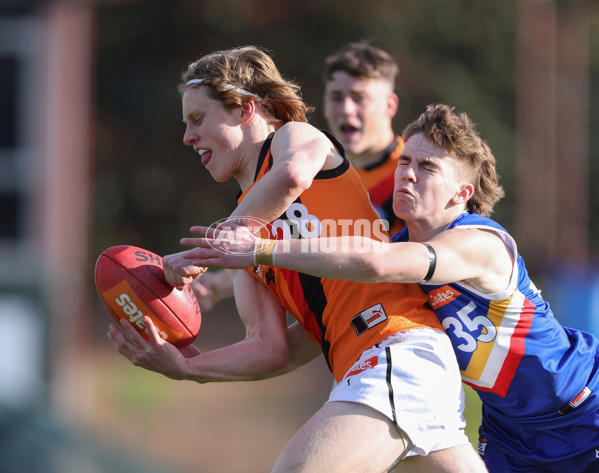 Coates League Boys 2024 - Eastern Ranges v Calder Cannons - A-51013675
