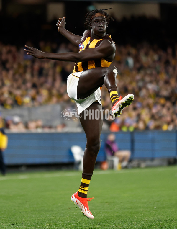 AFL 2024 Round 14 - Richmond v Hawthorn - A-51013684