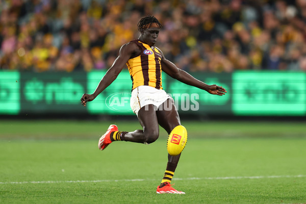 AFL 2024 Round 14 - Richmond v Hawthorn - A-51015201