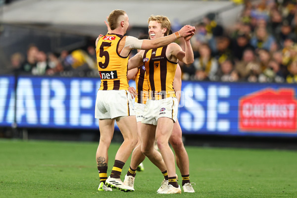 AFL 2024 Round 14 - Richmond v Hawthorn - A-51015228
