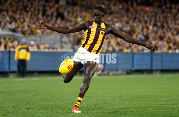 AFL 2024 Round 14 - Richmond v Hawthorn - A-51015249