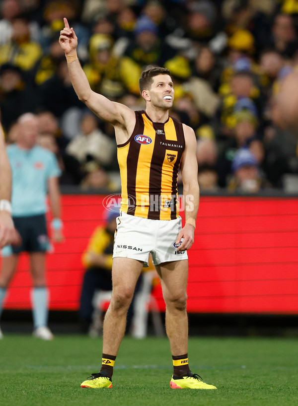 AFL 2024 Round 14 - Richmond v Hawthorn - A-51015252
