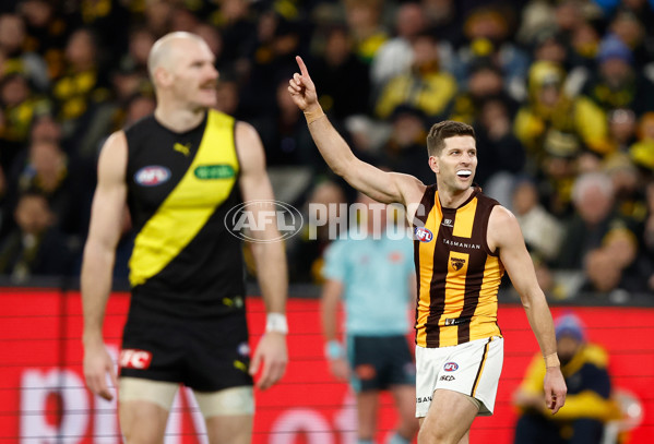 AFL 2024 Round 14 - Richmond v Hawthorn - A-51015253