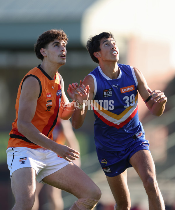 Coates League Boys 2024 - Eastern Ranges v Calder Cannons - A-51015278