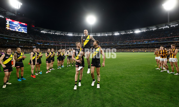 AFL 2024 Round 14 - Richmond v Hawthorn - A-51015298