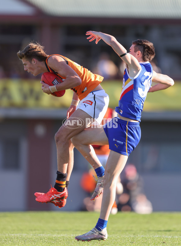 Coates League Boys 2024 - Eastern Ranges v Calder Cannons - A-51016663