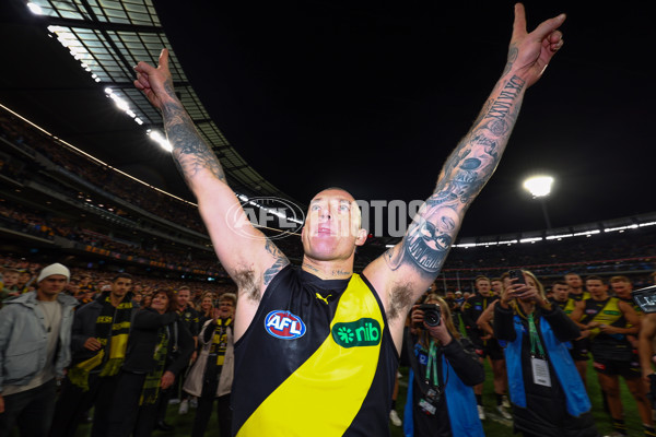 AFL 2024 Round 14 - Richmond v Hawthorn - A-51016667