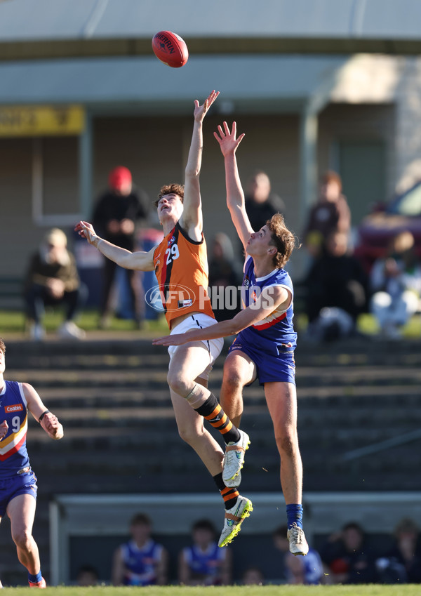 Coates League Boys 2024 - Eastern Ranges v Calder Cannons - A-51016668