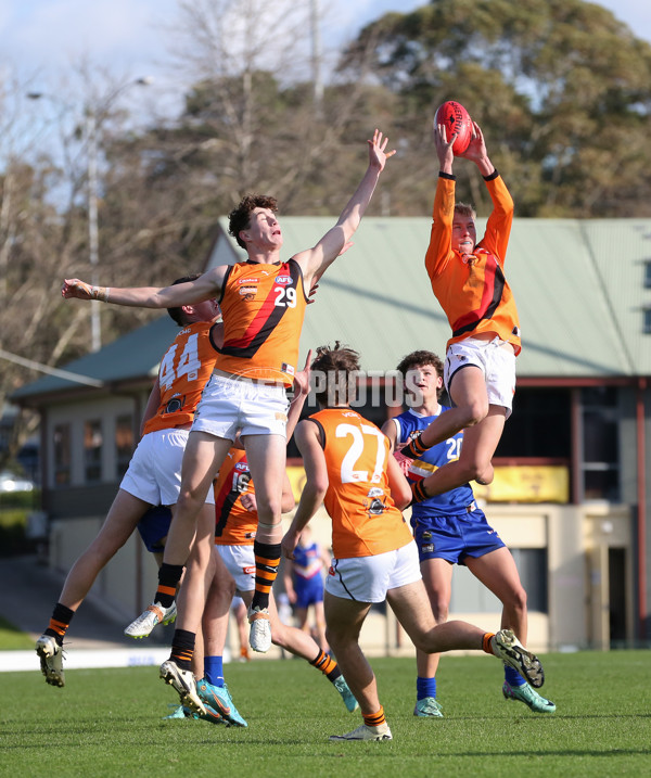 Coates League Boys 2024 - Eastern Ranges v Calder Cannons - A-51016670