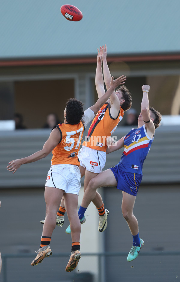 Coates League Boys 2024 - Eastern Ranges v Calder Cannons - A-51017739