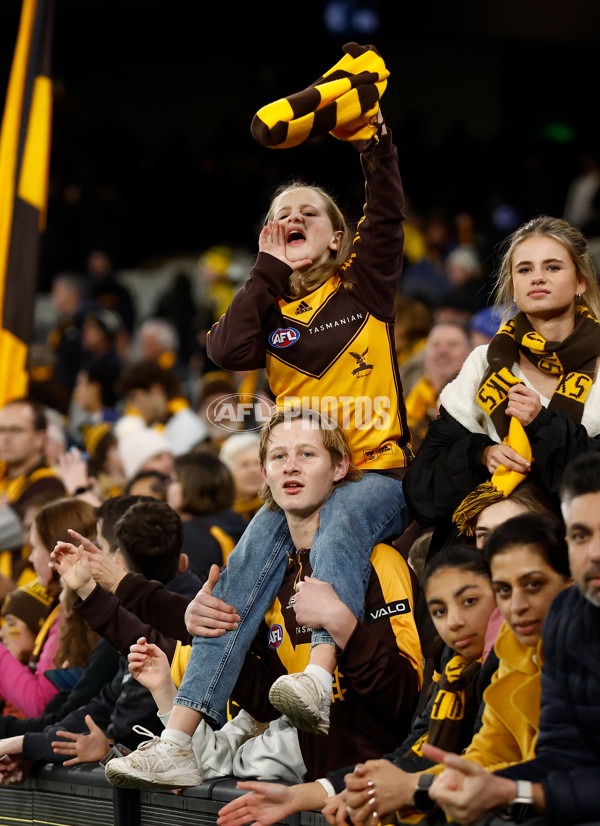 AFL 2024 Round 14 - Richmond v Hawthorn - A-51017824