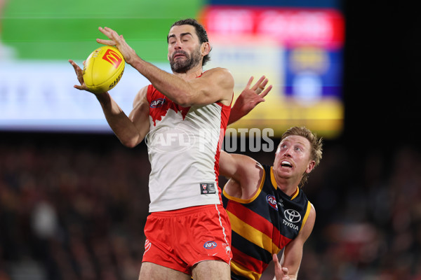 AFL 2024 Round 14 - Adelaide v Sydney - A-51019343