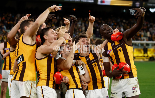 AFL 2024 Round 14 - Richmond v Hawthorn - A-51019356