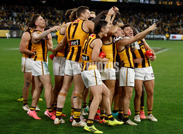 AFL 2024 Round 14 - Richmond v Hawthorn - A-51019375