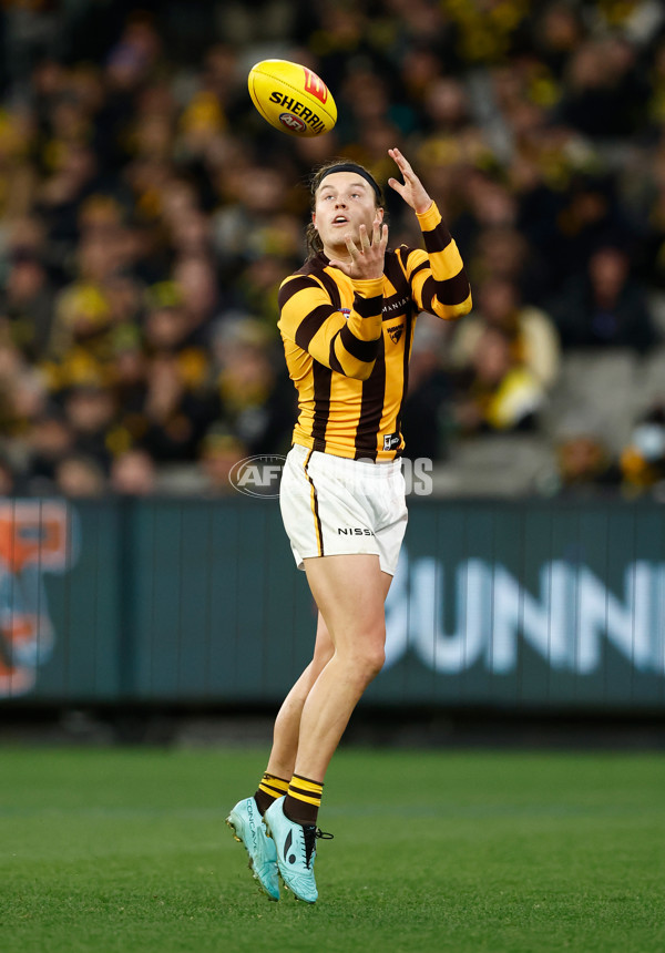 AFL 2024 Round 14 - Richmond v Hawthorn - A-51019436