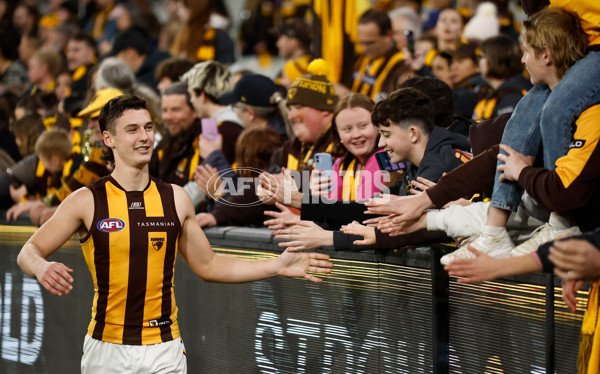 AFL 2024 Round 14 - Richmond v Hawthorn - A-51020160