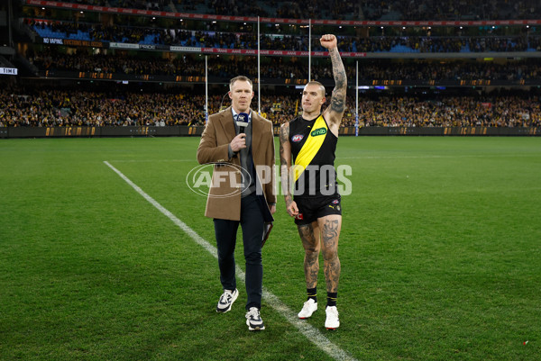 AFL 2024 Round 14 - Richmond v Hawthorn - A-51020175