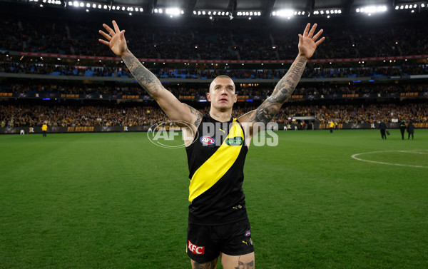 AFL 2024 Round 14 - Richmond v Hawthorn - A-51020191