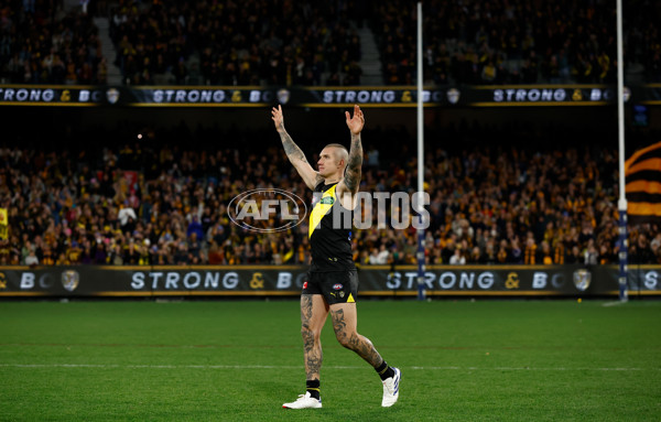 AFL 2024 Round 14 - Richmond v Hawthorn - A-51020206