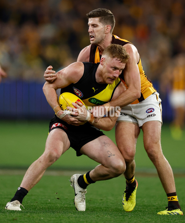 AFL 2024 Round 14 - Richmond v Hawthorn - A-51020234