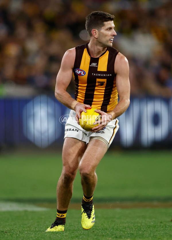 AFL 2024 Round 14 - Richmond v Hawthorn - A-51020244