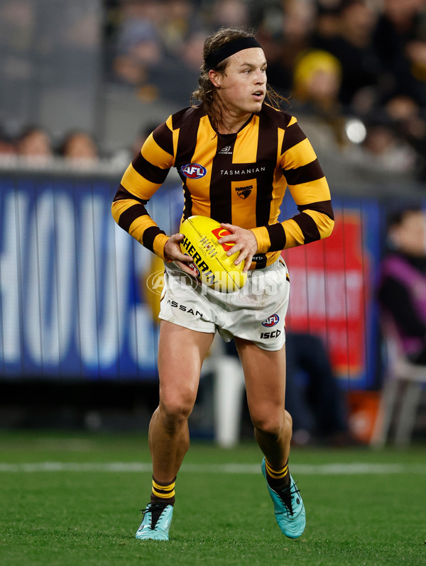 AFL 2024 Round 14 - Richmond v Hawthorn - A-51020245