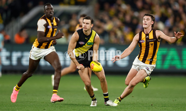 AFL 2024 Round 14 - Richmond v Hawthorn - A-51020248