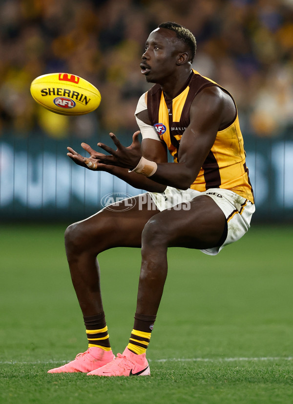 AFL 2024 Round 14 - Richmond v Hawthorn - A-51020249