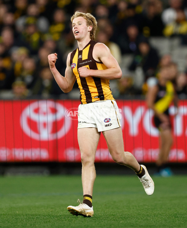 AFL 2024 Round 14 - Richmond v Hawthorn - A-51022076