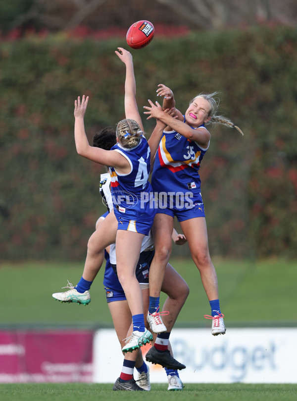 Coates League Girls 2024 - Eastern Ranges v Sandringham - A-51022092