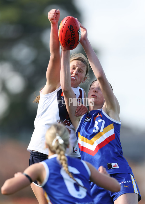 Coates League Girls 2024 - Eastern Ranges v Sandringham - A-51022093