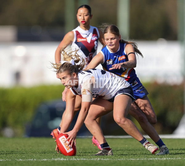 Coates League Girls 2024 - Eastern Ranges v Sandringham - A-51022098