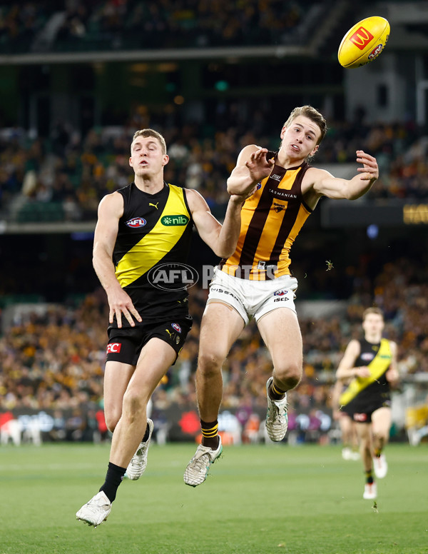AFL 2024 Round 14 - Richmond v Hawthorn - A-51022112