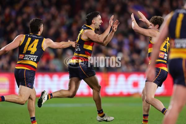 AFL 2024 Round 14 - Adelaide v Sydney - A-51022121