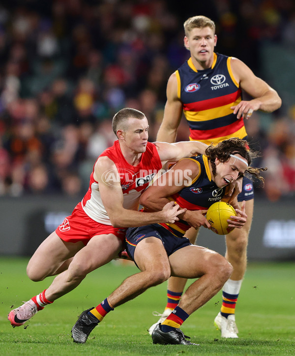 AFL 2024 Round 14 - Adelaide v Sydney - A-51022167