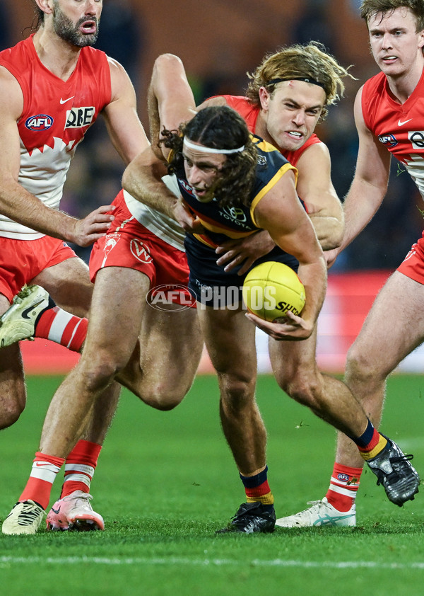 AFL 2024 Round 14 - Adelaide v Sydney - A-51024608