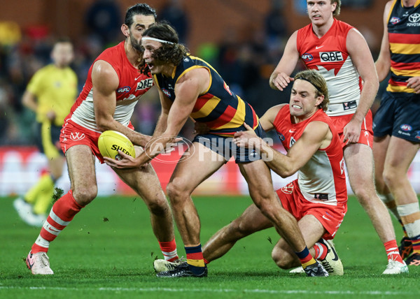 AFL 2024 Round 14 - Adelaide v Sydney - A-51024610