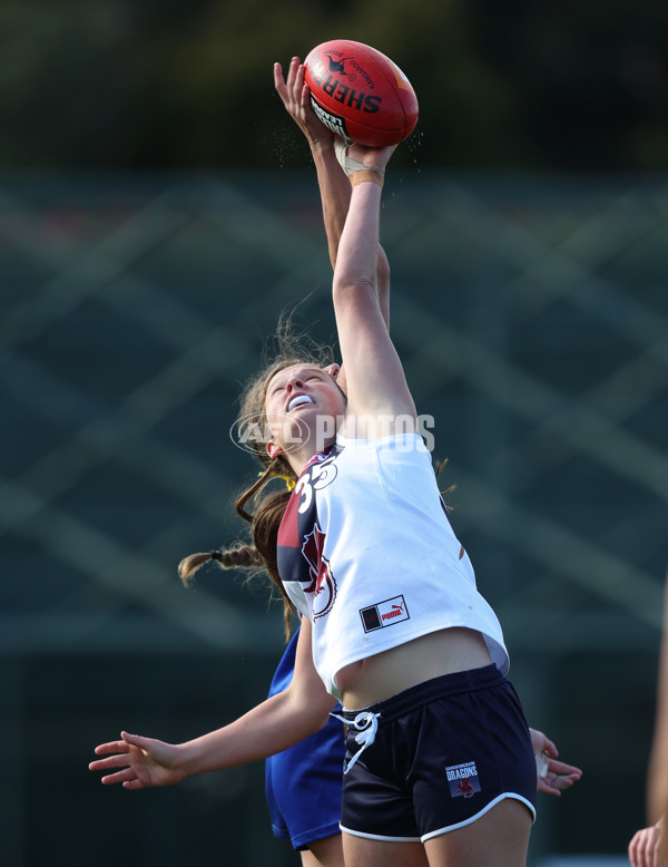 Coates League Girls 2024 - Eastern Ranges v Sandringham - A-51024617