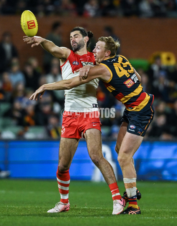 AFL 2024 Round 14 - Adelaide v Sydney - A-51027033