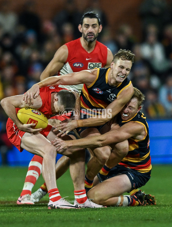 AFL 2024 Round 14 - Adelaide v Sydney - A-51027048