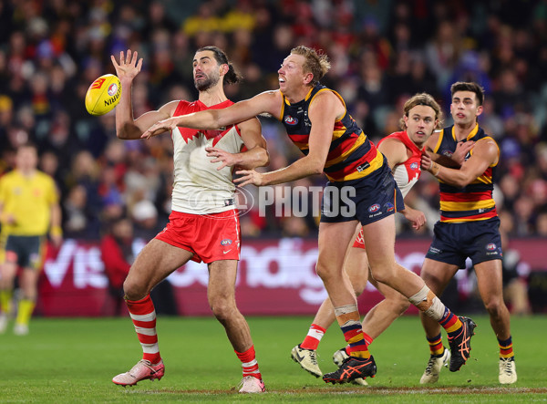 AFL 2024 Round 14 - Adelaide v Sydney - A-51027050