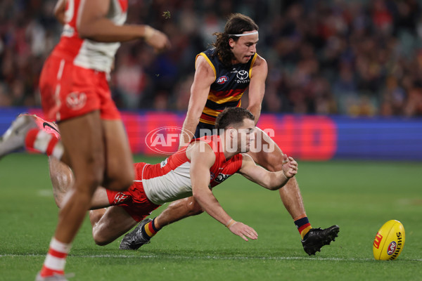 AFL 2024 Round 14 - Adelaide v Sydney - A-51029452